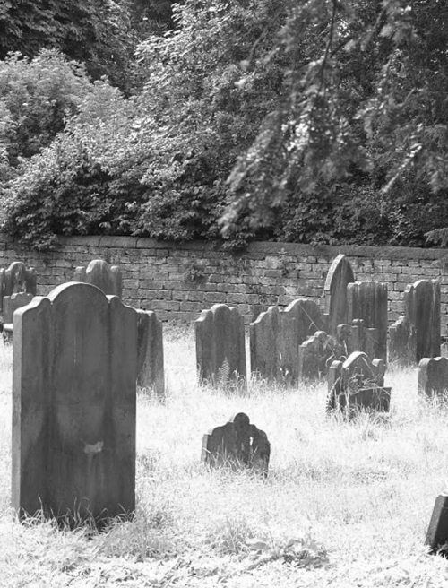 Иллюстрация к книге — Суеверия викторианской Англии [i_065.jpg]