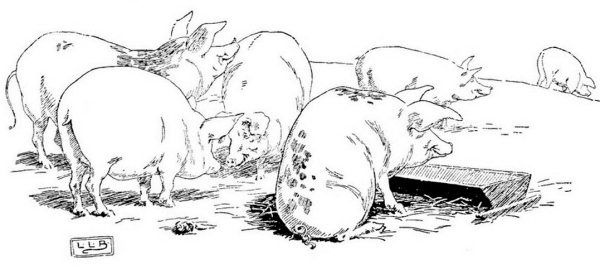 Иллюстрация к книге — Суеверия викторианской Англии [i_080.jpg]