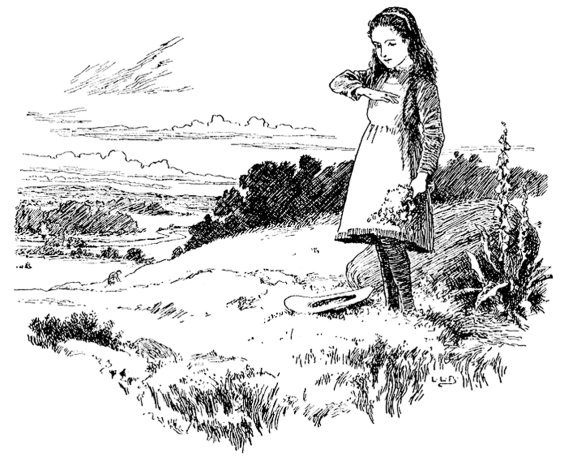 Иллюстрация к книге — Суеверия викторианской Англии [i_093.jpg]