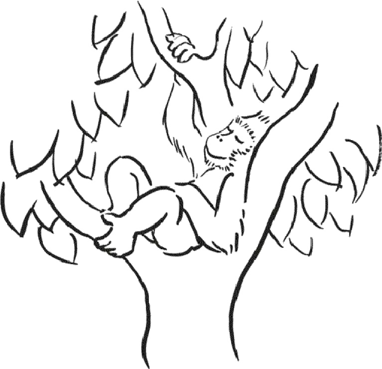 Иллюстрация к книге — Практика радости. Как отдыхать осознанно [i_011.jpg]