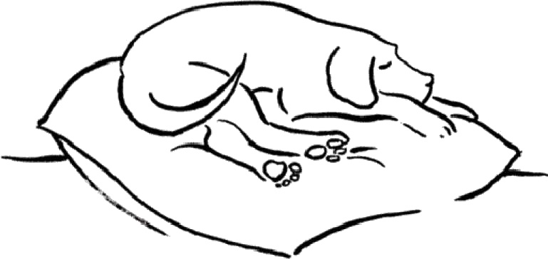 Иллюстрация к книге — Практика радости. Как отдыхать осознанно [i_016.jpg]