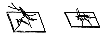 Иллюстрация к книге — Охотники за микробами [i_006.jpg]