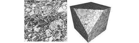 Иллюстрация к книге — Искусственный интеллект. Этапы. Угрозы. Стратегии [img_8.jpg]