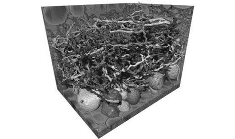 Иллюстрация к книге — Искусственный интеллект. Этапы. Угрозы. Стратегии [img_9.jpg]