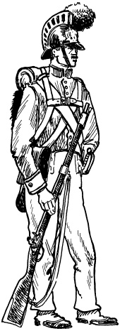 Иллюстрация к книге — Огнестрельное оружие XIX-XX веков. От митральезы до &quot;Большой Берты&quot; [i_001.jpg]