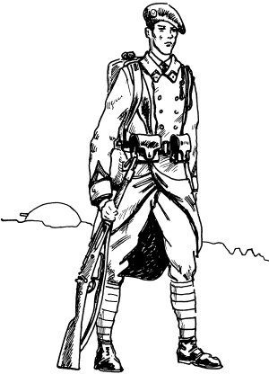 Иллюстрация к книге — Огнестрельное оружие XIX-XX веков. От митральезы до &quot;Большой Берты&quot; [i_041.jpg]