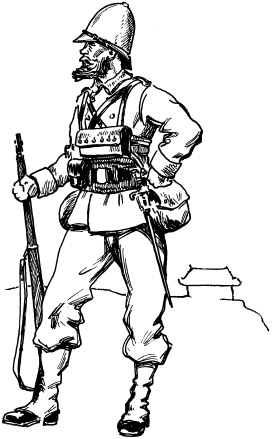 Иллюстрация к книге — Огнестрельное оружие XIX-XX веков. От митральезы до &quot;Большой Берты&quot; [i_043.jpg]