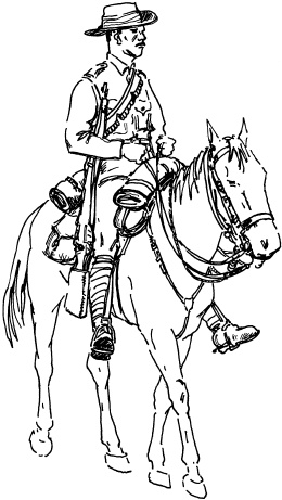 Иллюстрация к книге — Огнестрельное оружие XIX-XX веков. От митральезы до &quot;Большой Берты&quot; [i_055.jpg]