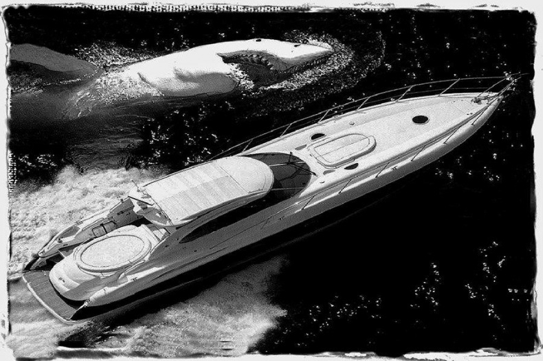 Иллюстрация к книге — Мег [img57d8.jpg]