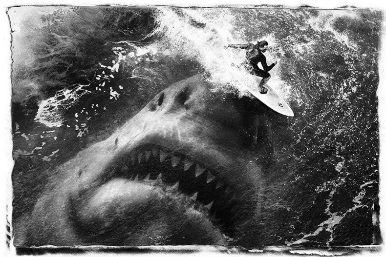 Иллюстрация к книге — Мег [imgb340.jpg]