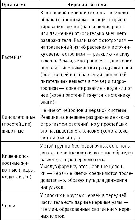 Иллюстрация к книге — Анатомия на пальцах [_110.jpg]