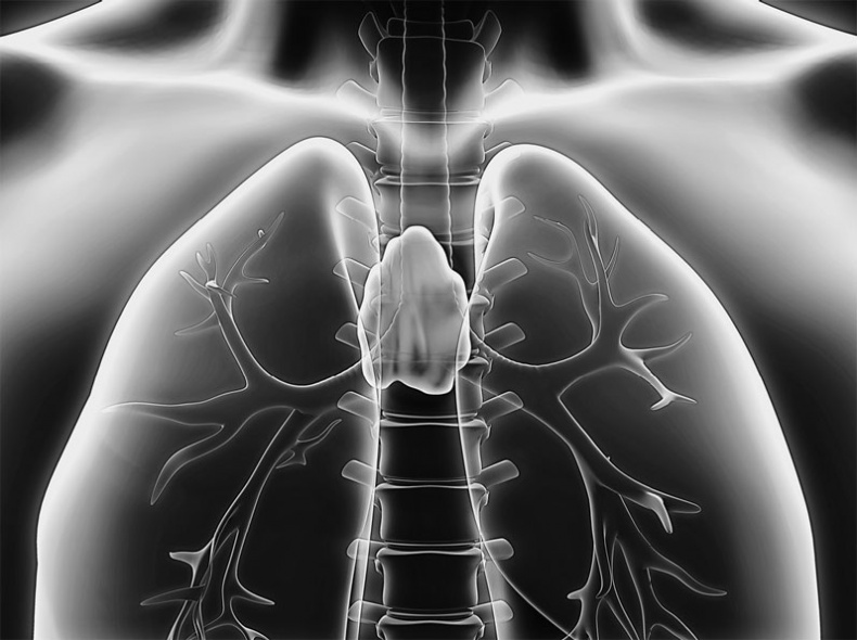 Иллюстрация к книге — Анатомия на пальцах [_129.jpg]