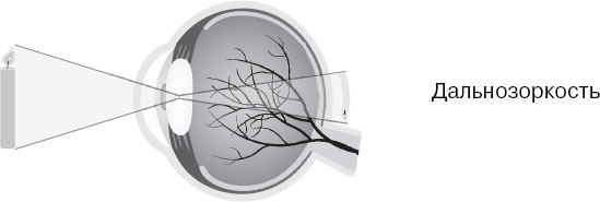 Иллюстрация к книге — Анатомия на пальцах [_136.jpg]