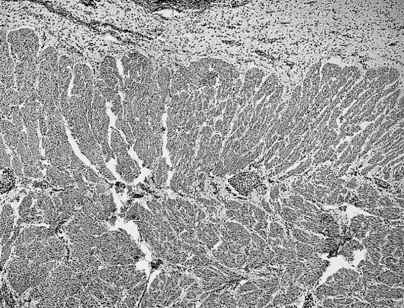 Иллюстрация к книге — Анатомия на пальцах [_22.jpg]