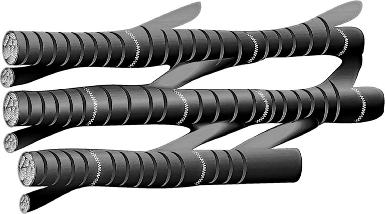 Иллюстрация к книге — Анатомия на пальцах [_28.jpg]