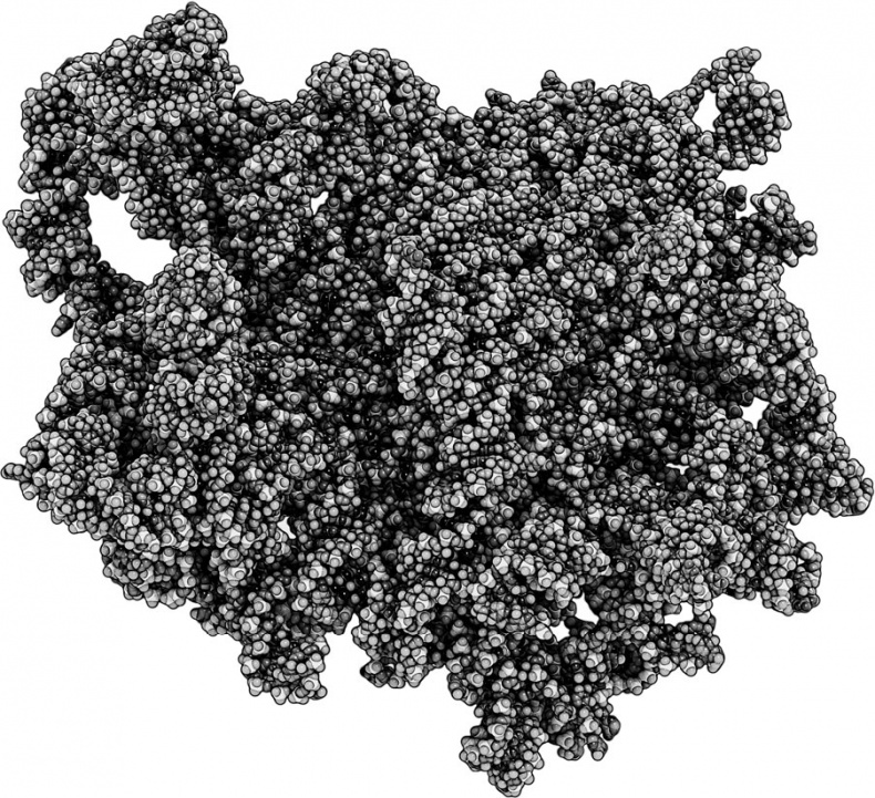 Иллюстрация к книге — Анатомия на пальцах [_3.jpg]