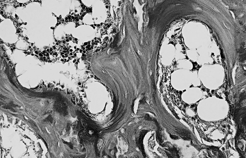 Иллюстрация к книге — Анатомия на пальцах [_45.jpg]