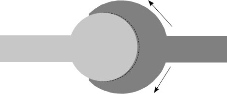 Иллюстрация к книге — Анатомия на пальцах [_52.jpg]