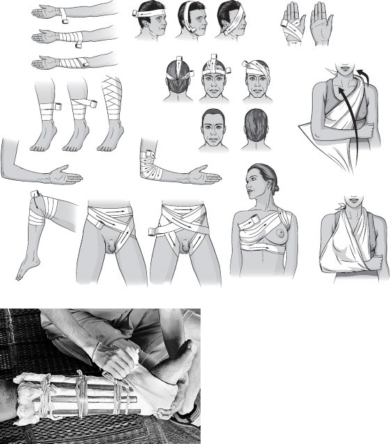 Иллюстрация к книге — Анатомия на пальцах [_62.jpg]