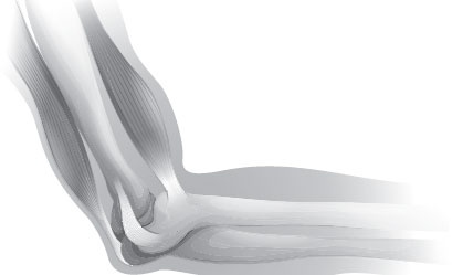 Иллюстрация к книге — Анатомия на пальцах [_63.jpg]