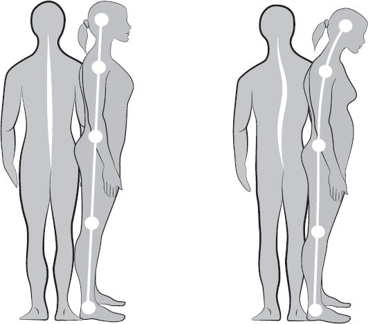 Иллюстрация к книге — Анатомия на пальцах [_66.jpg]