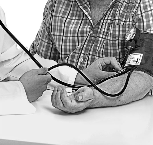 Иллюстрация к книге — Анатомия на пальцах [_78.jpg]