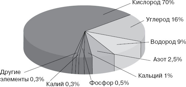 Иллюстрация к книге — Анатомия на пальцах [_9.jpg]