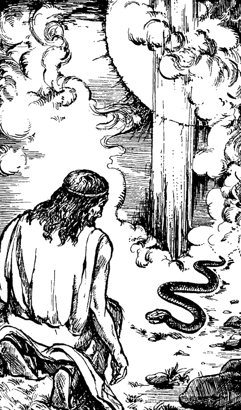 Иллюстрация к книге — Моисей. Записки Финееса [i_004.jpg]