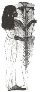 Иллюстрация к книге — Древний Египет. Женщины-фараоны [i_017.jpg]