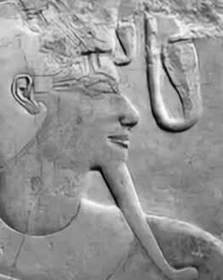 Иллюстрация к книге — Древний Египет. Женщины-фараоны [i_021.jpg]