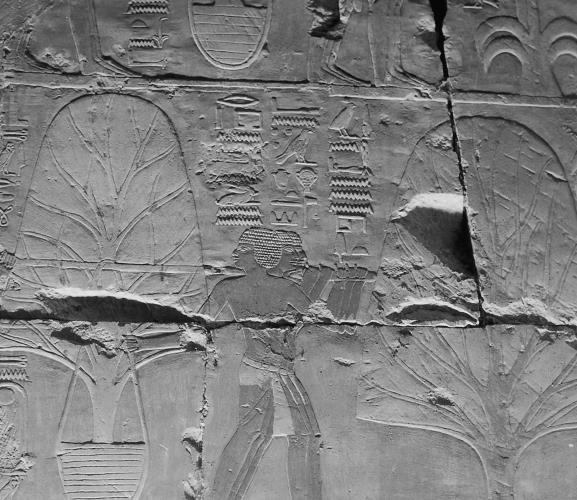 Иллюстрация к книге — Древний Египет. Женщины-фараоны [i_039.jpg]