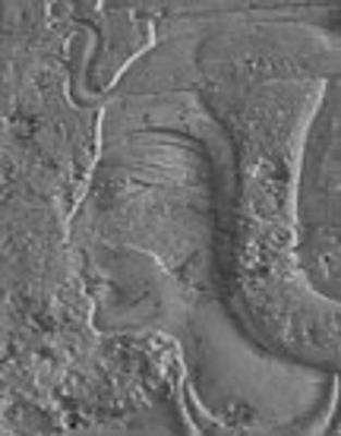 Иллюстрация к книге — Древний Египет. Женщины-фараоны [i_062.jpg]