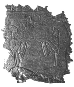 Иллюстрация к книге — Древний Египет. Женщины-фараоны [i_063.jpg]