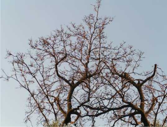 Иллюстрация к книге — Управление Вселенной. Женщина и Вселенная [image15.jpg]