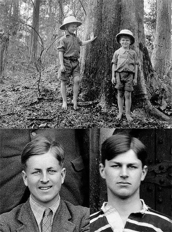 Иллюстрация к книге — Неутолимая любознательность [img5a90.jpg]