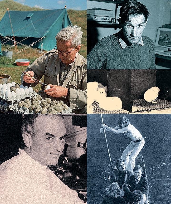 Иллюстрация к книге — Неутолимая любознательность [img5eb5.jpg]