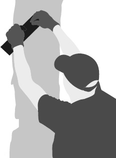 Иллюстрация к книге — Химия. Узнавай химию, читая классику. С комментарием химика [i_039.jpg]