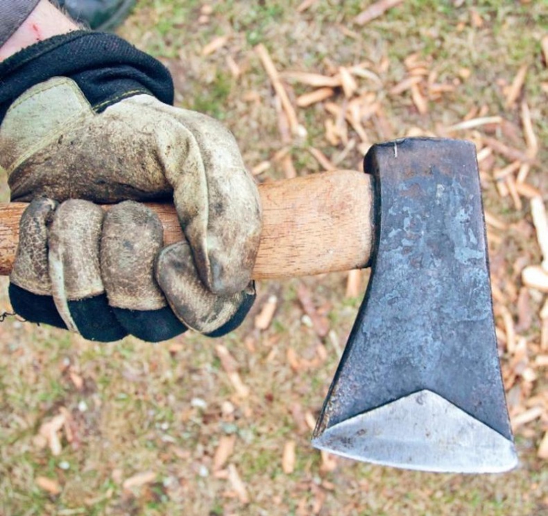 Иллюстрация к книге — Норвежский лес: скандинавский путь к силе и свободе [_009_.jpg]