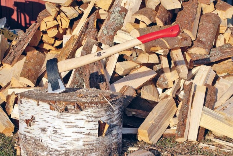 Иллюстрация к книге — Норвежский лес: скандинавский путь к силе и свободе [_104_.jpg]