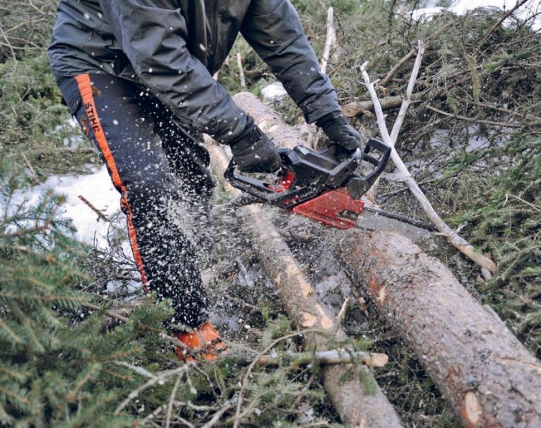 Иллюстрация к книге — Норвежский лес: скандинавский путь к силе и свободе [_154_.jpg]