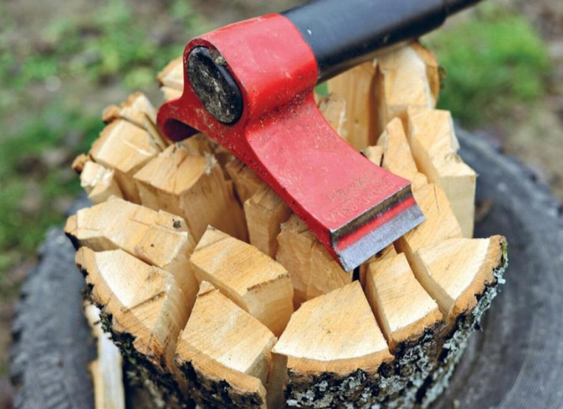 Иллюстрация к книге — Норвежский лес: скандинавский путь к силе и свободе [_172_.jpg]