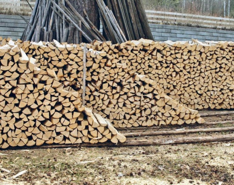 Иллюстрация к книге — Норвежский лес: скандинавский путь к силе и свободе [_209_.jpg]