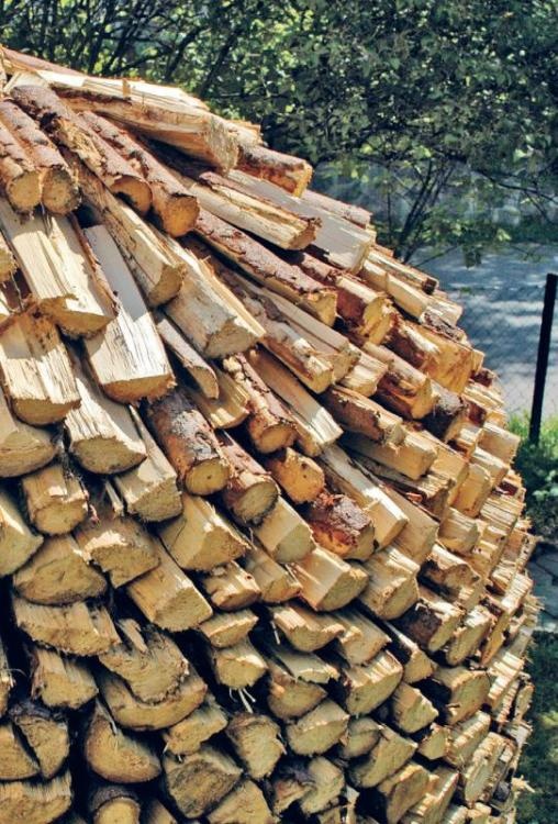 Иллюстрация к книге — Норвежский лес: скандинавский путь к силе и свободе [_224_.jpg]