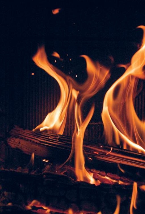 Иллюстрация к книге — Норвежский лес: скандинавский путь к силе и свободе [_273_.jpg]