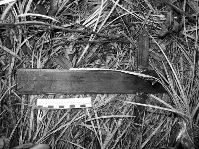 Иллюстрация к книге — Убийства, теракты, катастрофы. По следам кровавых преступлений [img5422.jpg]