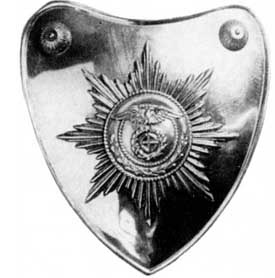 Иллюстрация к книге — Штурмовые отряды (СА) Гитлера 1921-1945 [i_022.jpg]