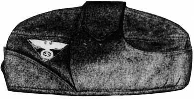 Иллюстрация к книге — Штурмовые отряды (СА) Гитлера 1921-1945 [i_058.jpg]