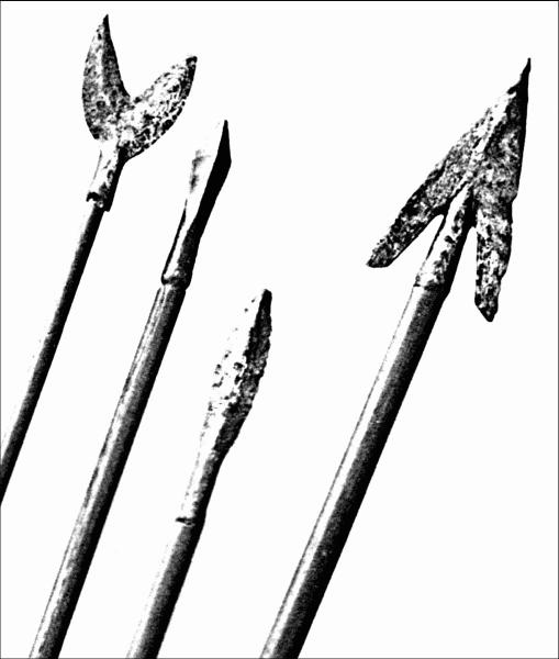 Иллюстрация к книге — Луки и арбалеты в бою [_110.jpg]