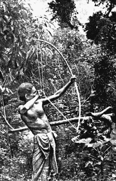 Иллюстрация к книге — Луки и арбалеты в бою [_111.jpg]