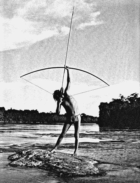 Иллюстрация к книге — Луки и арбалеты в бою [_113.jpg]